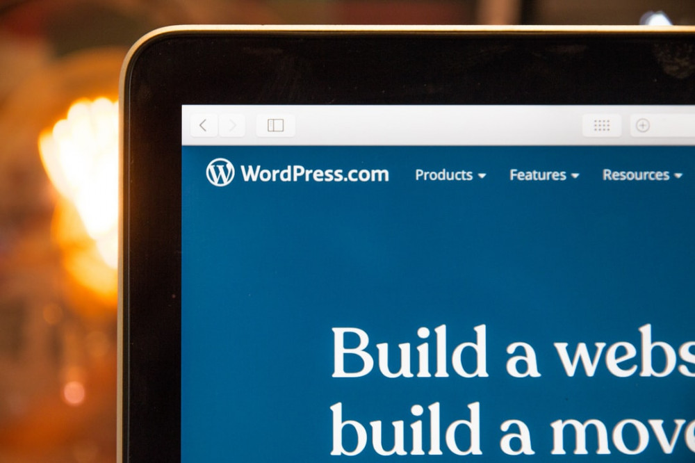 image of WordPress website