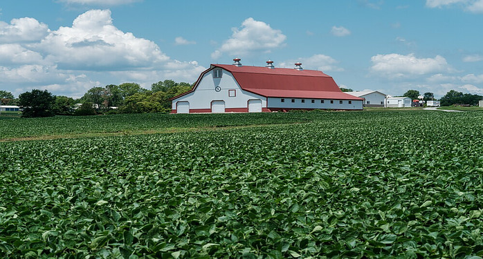 agricultural extension