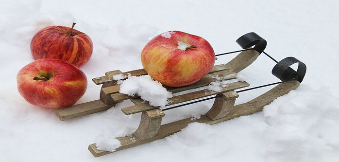 apples on a sledge with snow