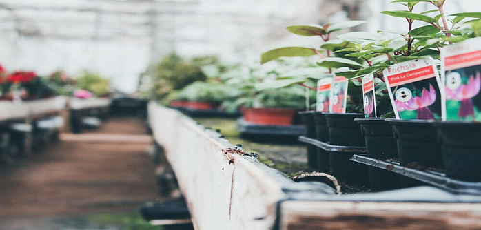 garden centre