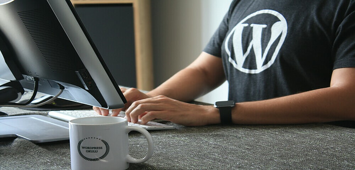 someone working on a pc with a wordpress tee shirt on